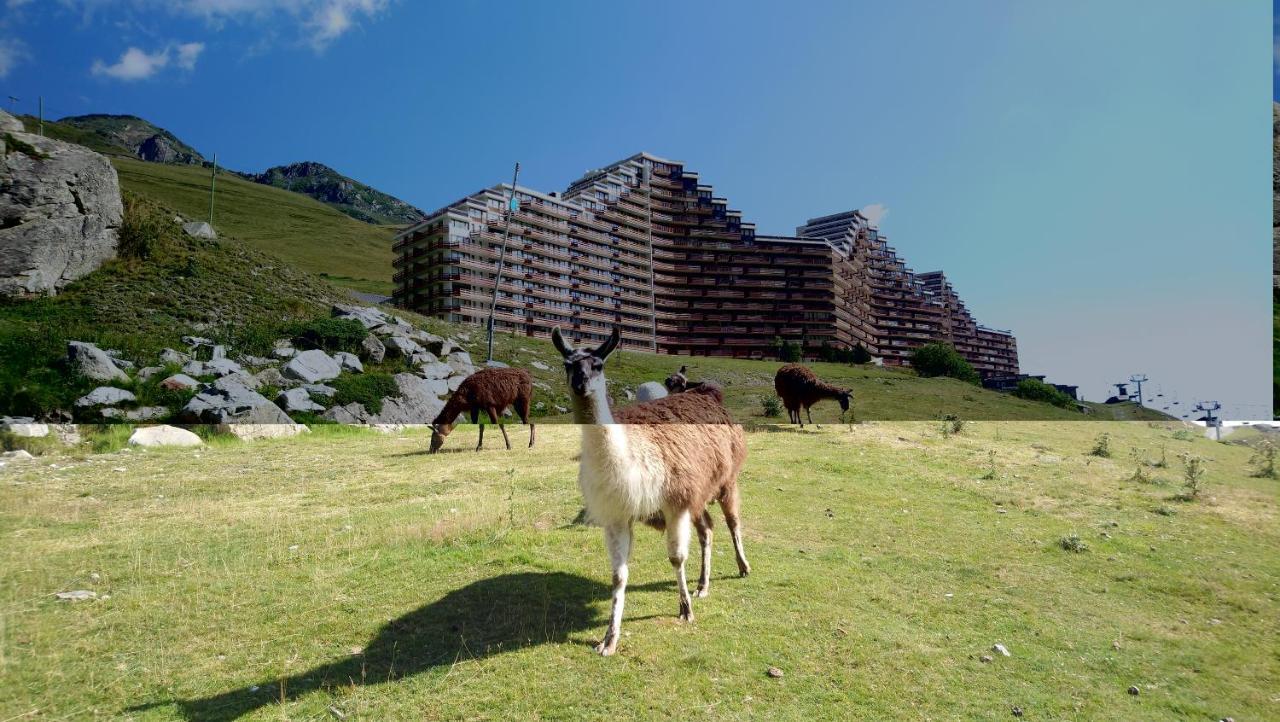 STUDIO en PLEINE MONTAGNE AVEC VUE SUR MARMOTTES La Mongie Exterior foto